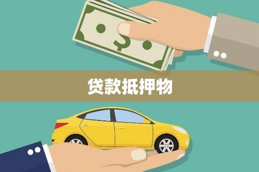 通山贷款抵押物