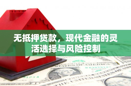 通山无抵押贷款，现代金融的灵活选择与风险控制