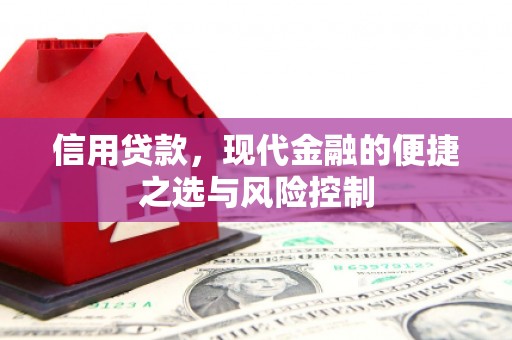 通山信用贷款，现代金融的便捷之选与风险控制