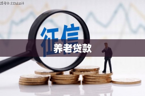 通山养老贷款