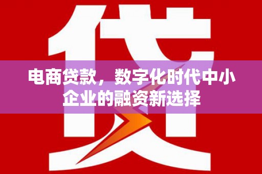 通山电商贷款，数字化时代中小企业的融资新选择