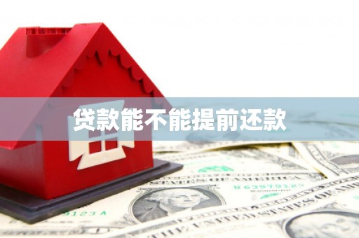 通山贷款能不能提前还款