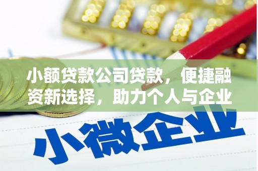 通山小额贷款公司贷款，便捷融资新选择，助力个人与企业成长