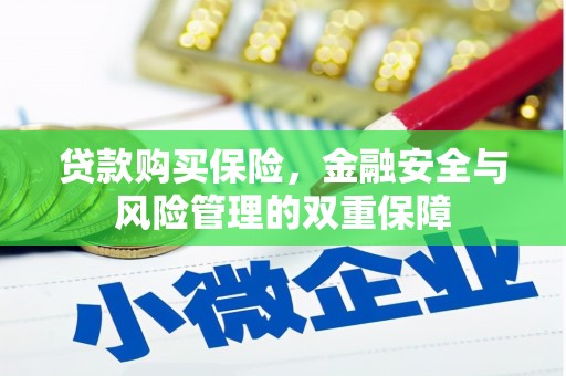 通山贷款购买保险，金融安全与风险管理的双重保障