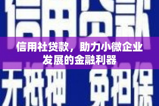 通山信用社贷款，助力小微企业发展的金融利器