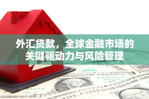 通山外汇贷款，全球金融市场的关键驱动力与风险管理