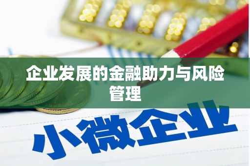 通山企业发展的金融助力与风险管理