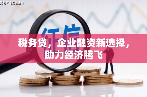 通山税务贷，企业融资新选择，助力经济腾飞