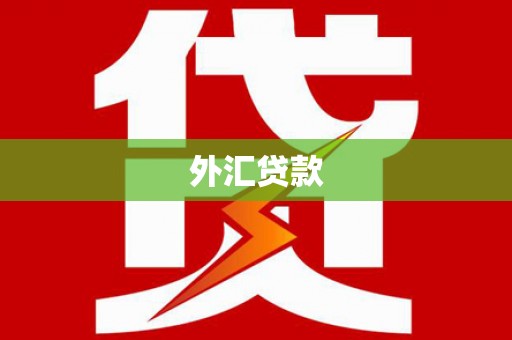 通山外汇贷款