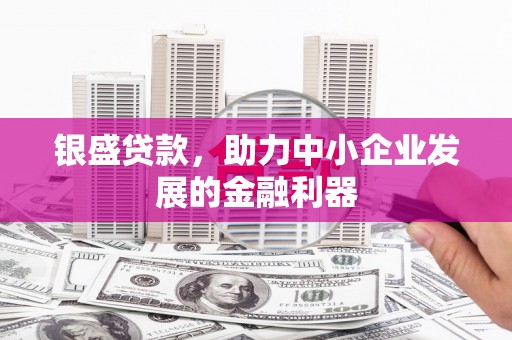 通山银盛贷款，助力中小企业发展的金融利器