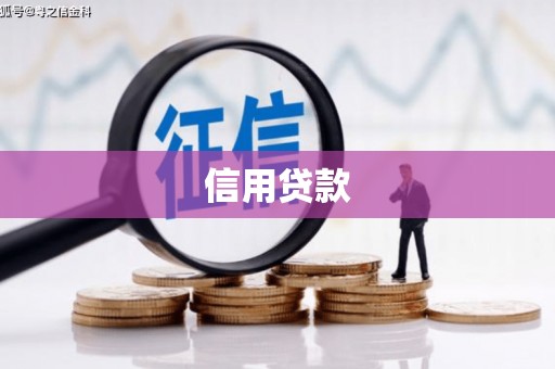 通山信用贷款