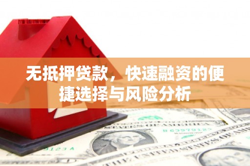通山无抵押贷款，快速融资的便捷选择与风险分析