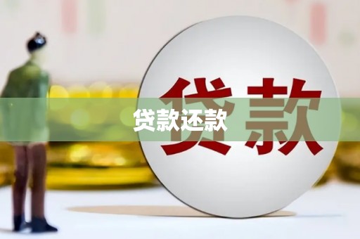 通山贷款还款