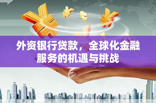 通山外资银行贷款，全球化金融服务的机遇与挑战