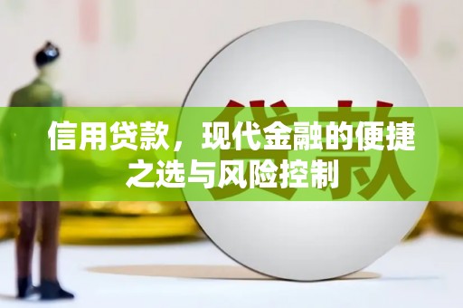通山信用贷款，现代金融的便捷之选与风险控制
