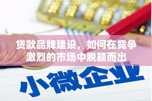 通山贷款品牌建设，如何在竞争激烈的市场中脱颖而出