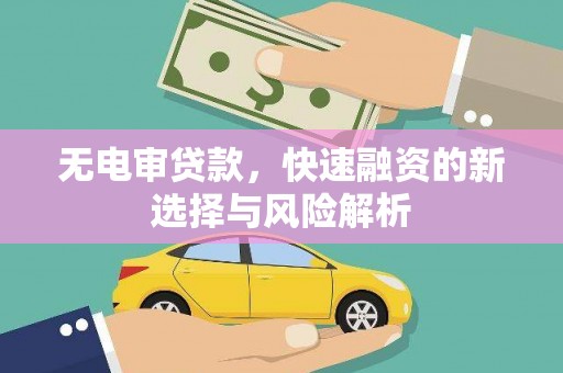 通山无电审贷款，快速融资的新选择与风险解析