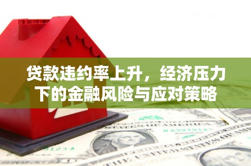 通山贷款违约率上升，经济压力下的金融风险与应对策略