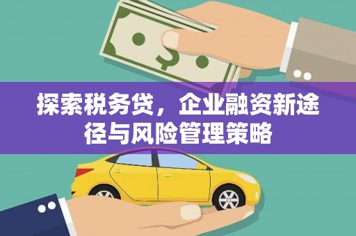 通山探索税务贷，企业融资新途径与风险管理策略
