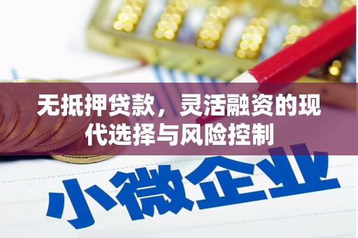 通山无抵押贷款，灵活融资的现代选择与风险控制