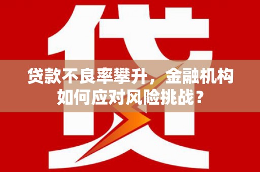 通山贷款不良率攀升，金融机构如何应对风险挑战？