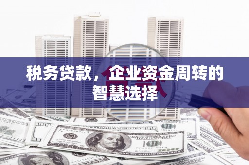 通山税务贷款，企业资金周转的智慧选择