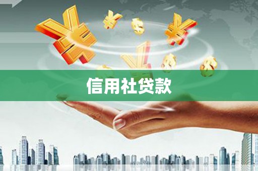 通山信用社贷款