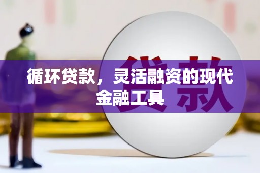通山循环贷款，灵活融资的现代金融工具