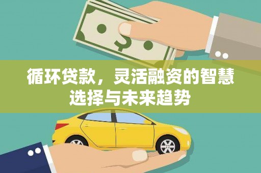 通山循环贷款，灵活融资的智慧选择与未来趋势