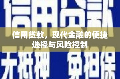 通山信用贷款，现代金融的便捷选择与风险控制