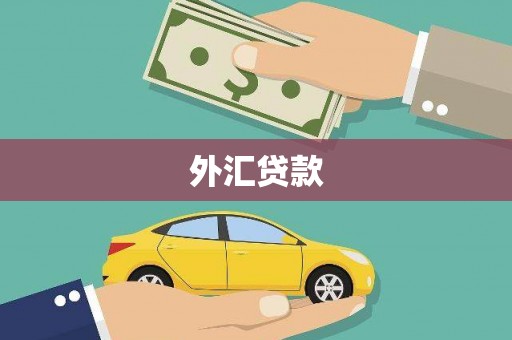 通山外汇贷款