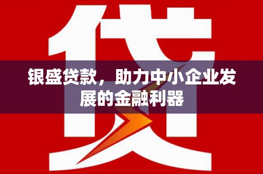 通山银盛贷款，助力中小企业发展的金融利器