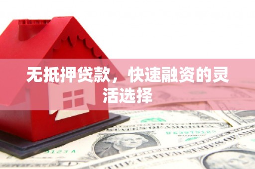 通山无抵押贷款，快速融资的灵活选择