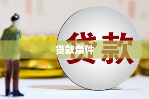 通山贷款条件