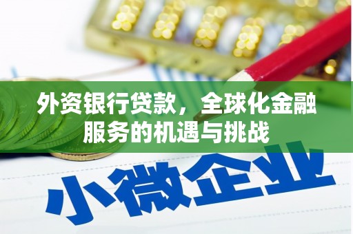 通山外资银行贷款，全球化金融服务的机遇与挑战