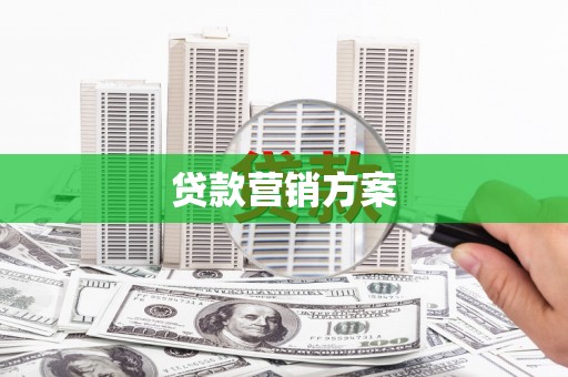 通山贷款营销方案