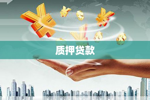 通山质押贷款