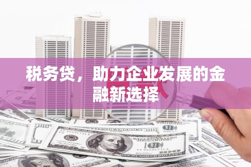 通山税务贷，助力企业发展的金融新选择