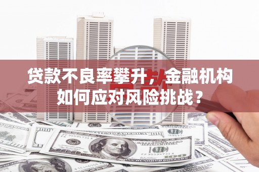 通山贷款不良率攀升，金融机构如何应对风险挑战？