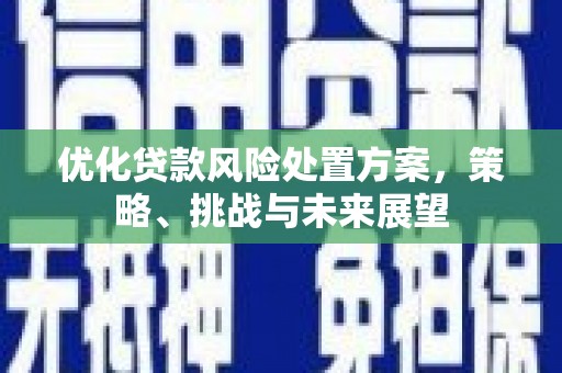 通山优化贷款风险处置方案，策略、挑战与未来展望