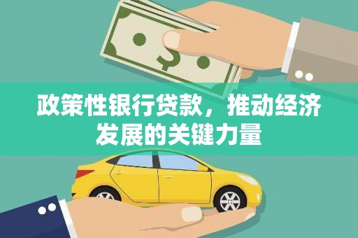 通山政策性银行贷款，推动经济发展的关键力量