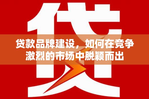 通山贷款品牌建设，如何在竞争激烈的市场中脱颖而出