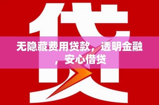 通山无隐藏费用贷款，透明金融，安心借贷