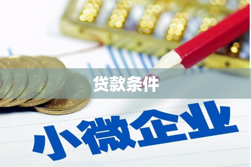 通山贷款条件