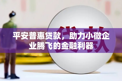 通山平安普惠贷款，助力小微企业腾飞的金融利器