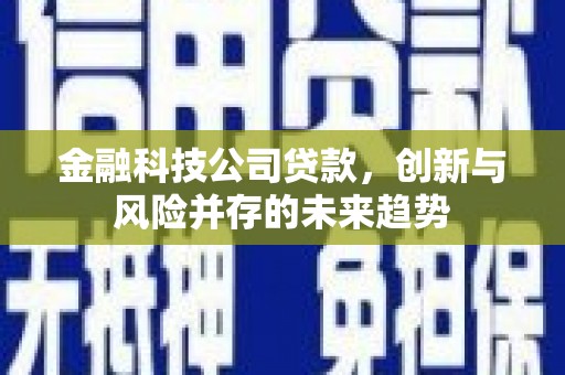 通山金融科技公司贷款，创新与风险并存的未来趋势