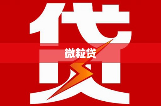 通山微粒贷