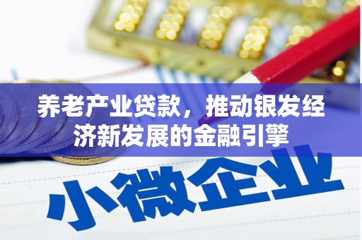 通山养老产业贷款，推动银发经济新发展的金融引擎