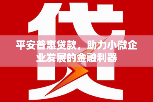 通山平安普惠贷款，助力小微企业发展的金融利器