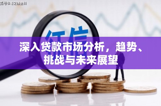 通山深入贷款市场分析，趋势、挑战与未来展望
